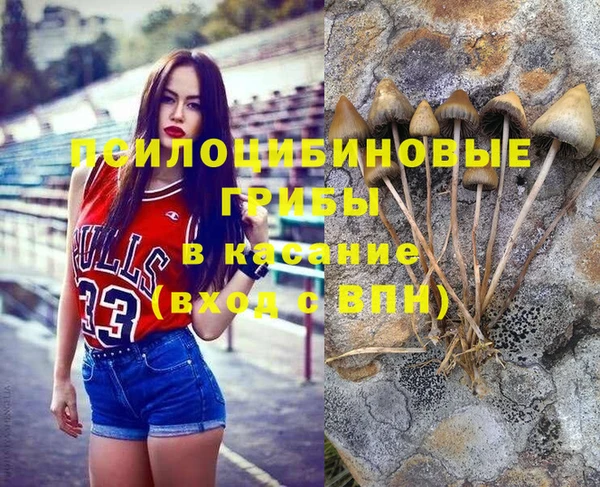 сатива Нея