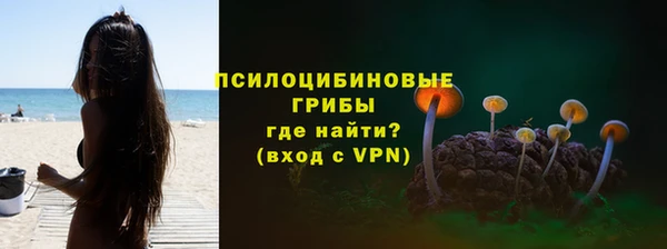 бошки Нефтегорск