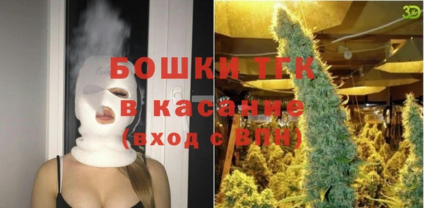 твердый Новозыбков
