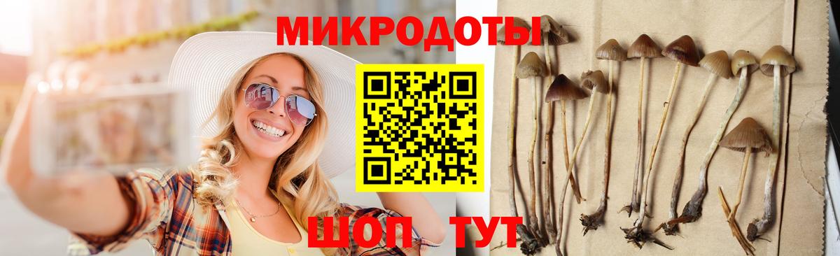Псилоцибиновые грибы мицелий Избербаш
